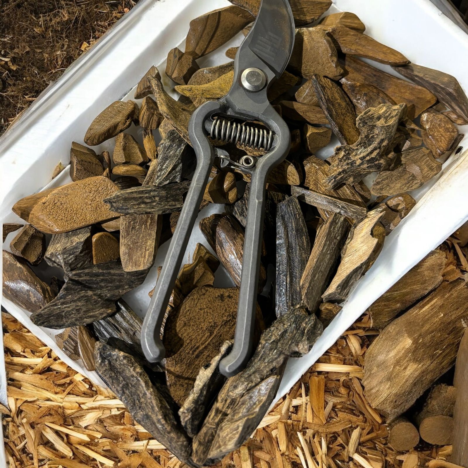 Incense scissors - الصورة 2